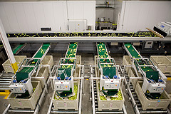 Compac Sorting Equipment